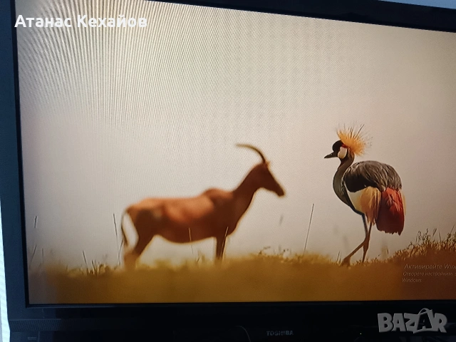 ТВ Тошиба RAGZA, снимка 3 - Телевизори - 53368720