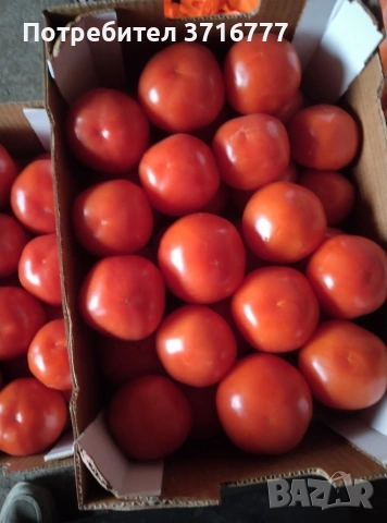 зеленчуци и плодове , снимка 9 - Други стоки за дома - 54265438