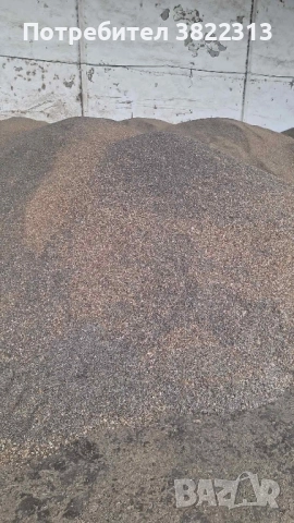 Продавам слънчоглед шарен хайсън, снимка 2 - Папагали - 51674551