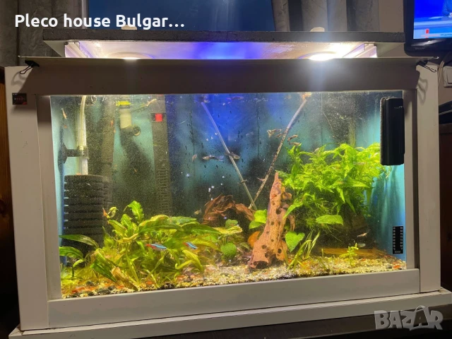 Аквариум 72 литра, снимка 1