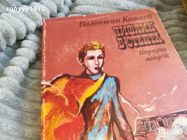 ЧИФЛИК В СТЕПТА 0701251818, снимка 2 - Художествена литература - 48590487