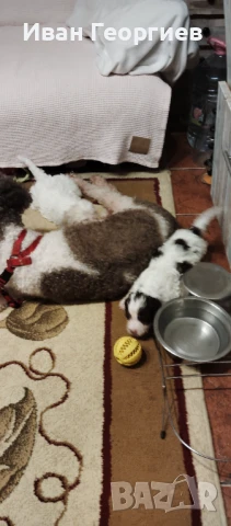 Лагото Романьоло , снимка 1