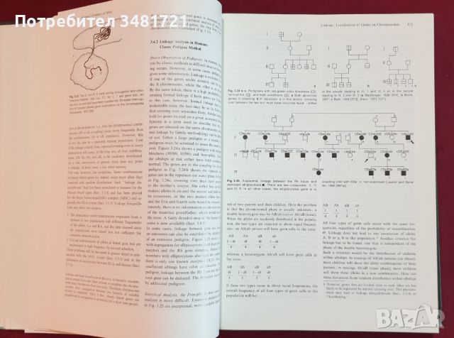 Човешката генетика - проблеми и подход / Human Genetics. Problems and Approaches, снимка 5 - Специализирана литература - 46215326