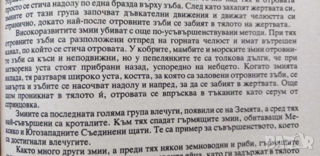 Животът на земята - Дейвид Атънбъро, снимка 10 - Художествена литература - 46706767