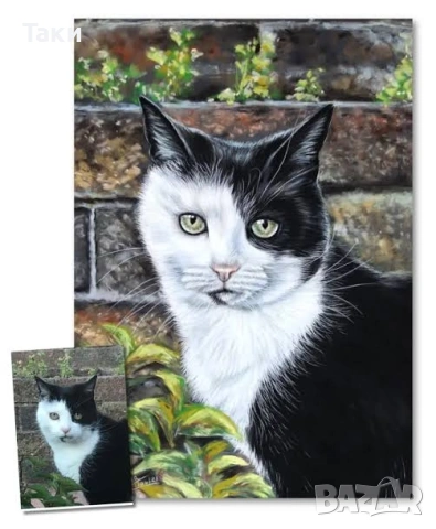 Портрети на любимци | Картина на коте или куче