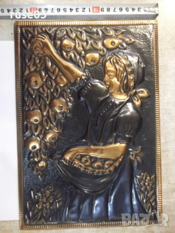 Пано метално, снимка 2 - Пана - 54151429