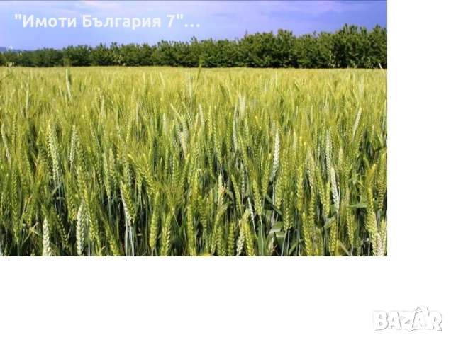 Продавам 22 дка зем. земя, ІІІ категория, в с. Граничар, община Шабла