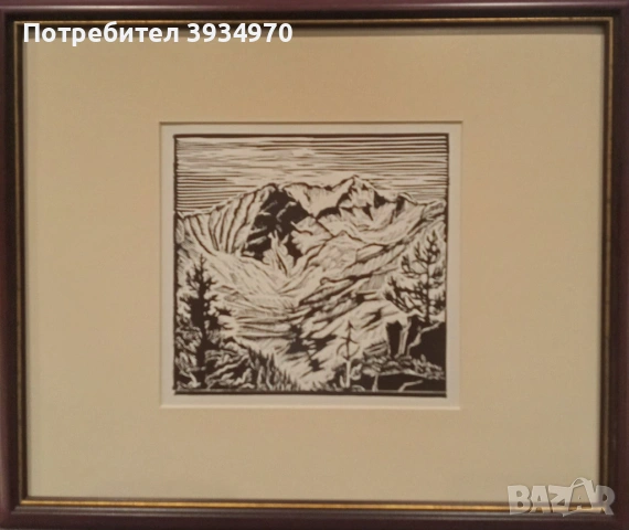 Картина Зафир Йончев