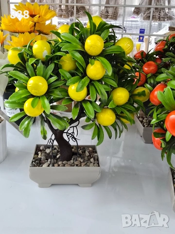 бонзай дръвчета декорация , снимка 3 - Декорация за дома - 47066976