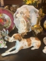 Lomonosov USSR Circa  1950 porcelain English Pointer dog - изящен и огромен сетер, снимка 2