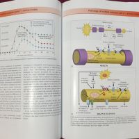 Множествена склероза - визуален справочник / Multiple Sclerosis - Visual Guide for Clinicians, снимка 10 - Специализирана литература - 45667994