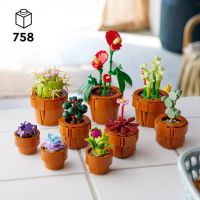 LEGO® Icons Botanical – 9 малки растения, снимка 5 - Колекции - 45334323
