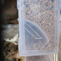 Автоматична Хранилка за Канари и други малки птички 250 гр. - 2GR - Модел: 169, снимка 3 - За птици - 45073306