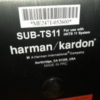 HARMAN/KARDON SUB-TS11 ВНОС SWISS 2104241050, снимка 9 - Тонколони - 45381250