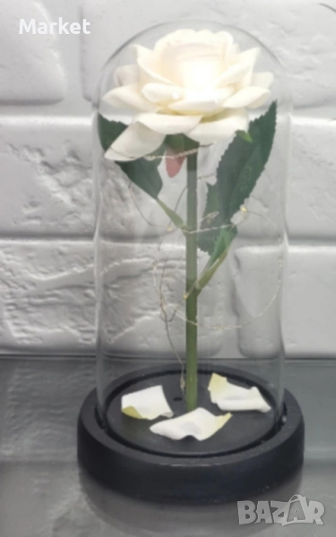 Бяла роза под стъклен купол - Вечна елегантност, снимка 1