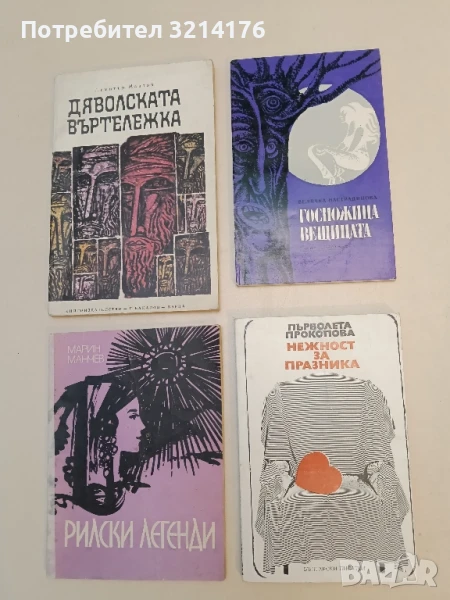 Госпожица Вещицата - Величка Настрадинова , снимка 1