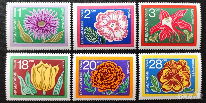 България, 1974 г. - пълна серия чисти марки, цветя, 5*5, снимка 1