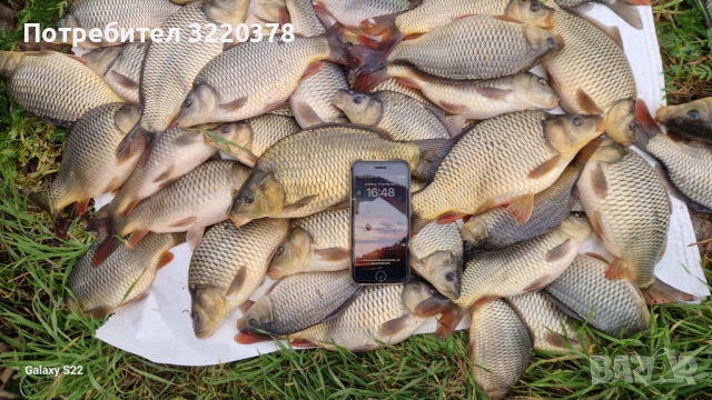 Продавам зарибител-шаран , снимка 10 - Рибки - 53470540