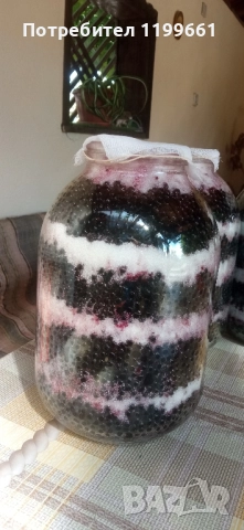 сироп от черен бъз , снимка 3 - Други услуги - 51570496