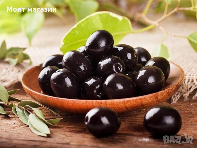 Маслина 3 вида, снимка 4 - Градински цветя и растения - 53632818