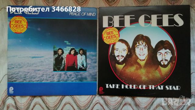 Bee Gees, снимка 1 - Грамофонни плочи - 45496977
