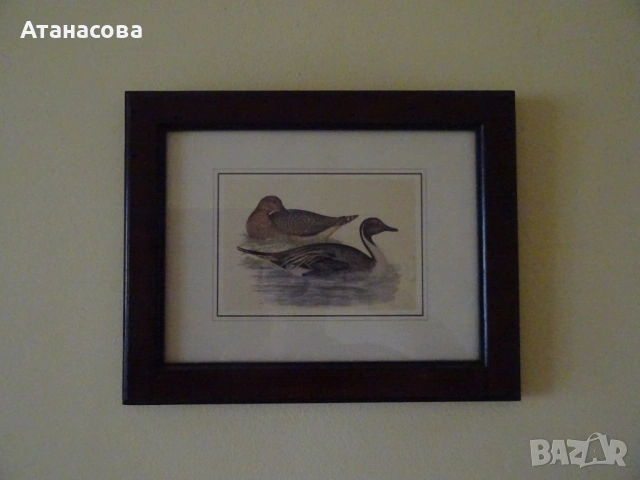 Декоративта картина с диви патици