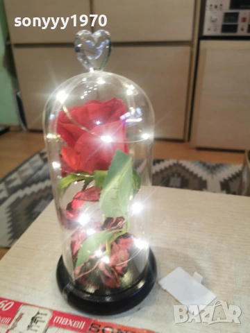 СВЕТЕЩА РОЗА 2303261917LCHERY1, снимка 3 - Колекции - 53950581