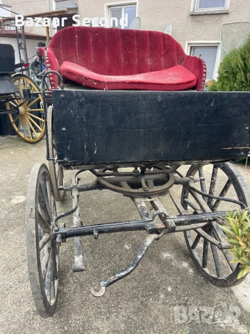 Файтон /Каляска/Карета/Каруца, снимка 7 - Други животни - 54170102