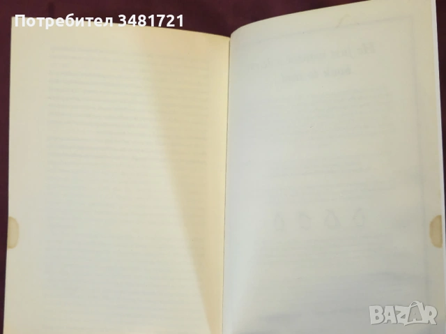 Писма от Бирма / Letters From Burma, снимка 7 - Художествена литература - 53882442