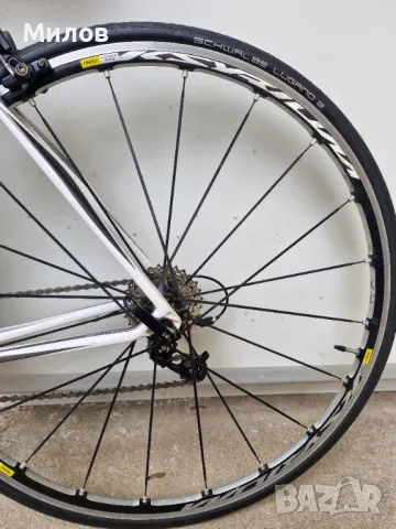 Карбонов Шосеен Велосипед Scott CR1 Elite Carbon Road Bike, снимка 10 - Велосипеди - 49826976