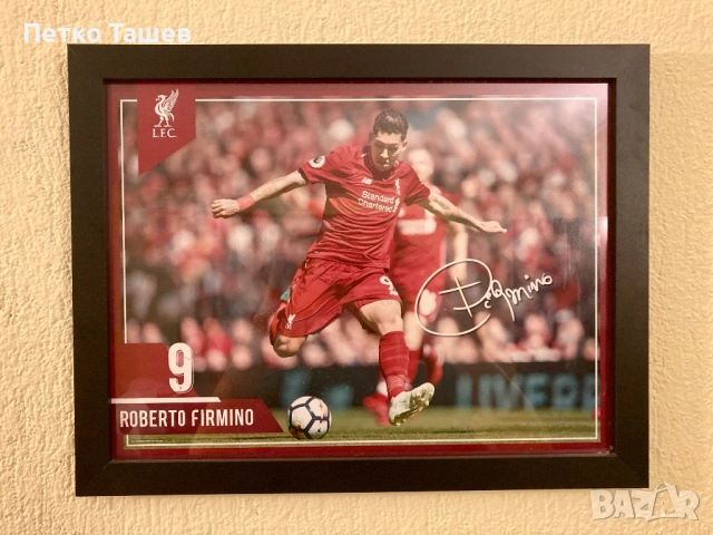 Фотокартина Roberto Firmino