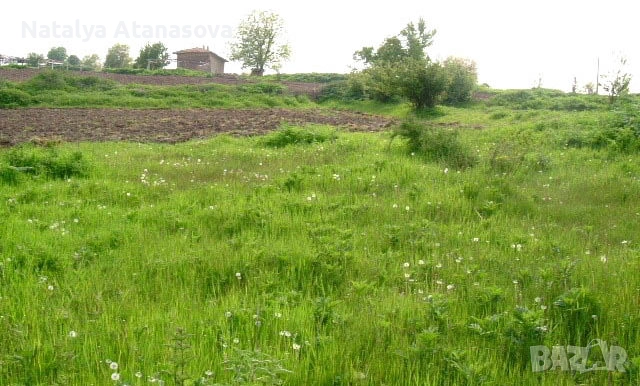 Парцел за продажба в Дряновец, област Добрич, снимка 2 - Парцели - 53656583