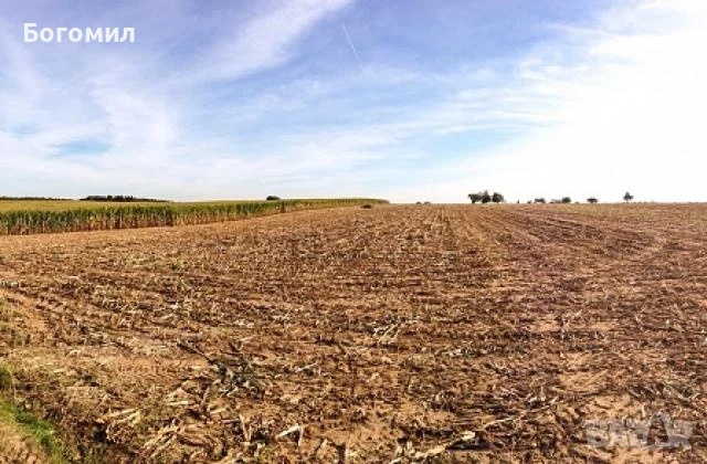 земеделска земя под наем в Дреновец, Видин