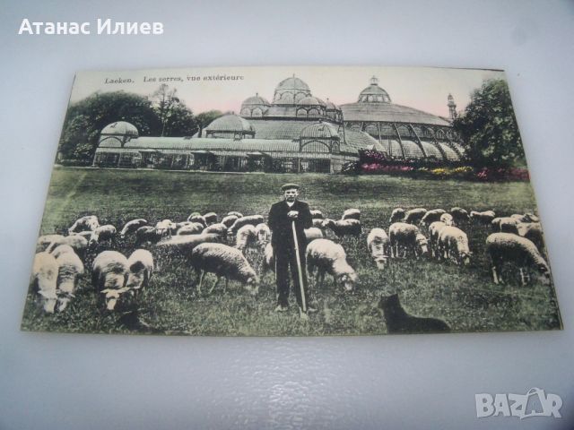 Стара пощенска картичка от Белгия -Laeken, les serres, vue exterieure, снимка 3 - Филателия - 46401531
