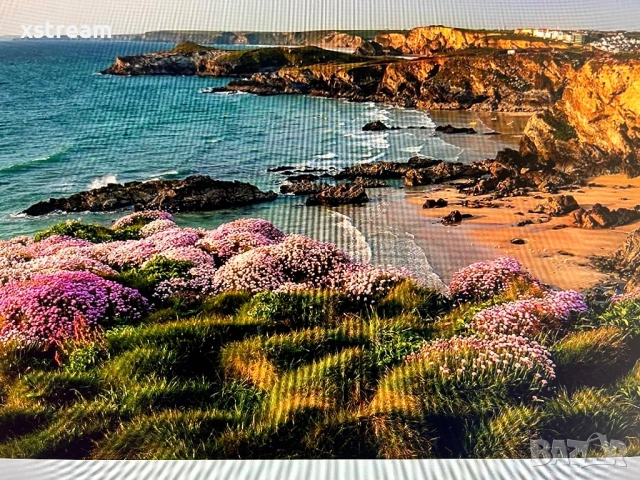 Philips 237E4 IPS LED Display LCD Монитор 23” 1080p FullHD, снимка 5 - Монитори - 53986984