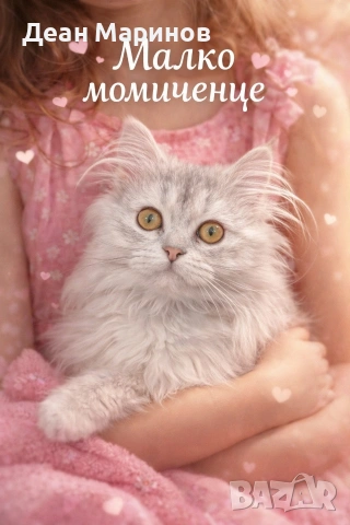 Британска дългокосместа сребърна чинчила