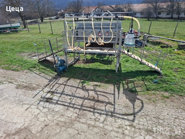 Рампа за доене за 6 овце / кози /