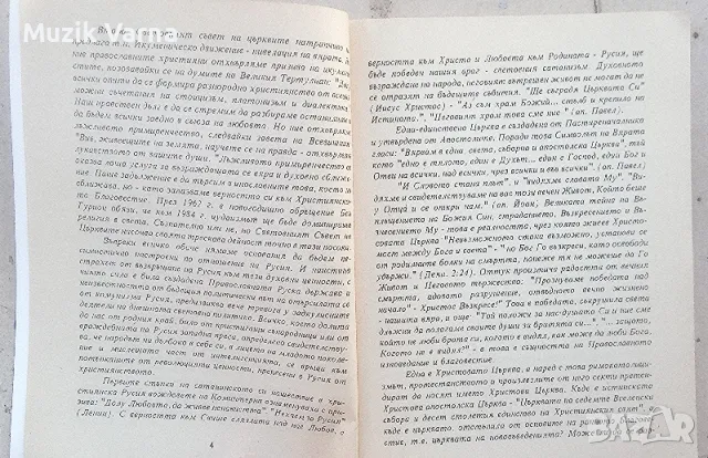 "Православие, римокатолицизъм, протестантство и сектантство" - Протойерей Митрофан Зноско-Боровски, снимка 4 - Езотерика - 46888977