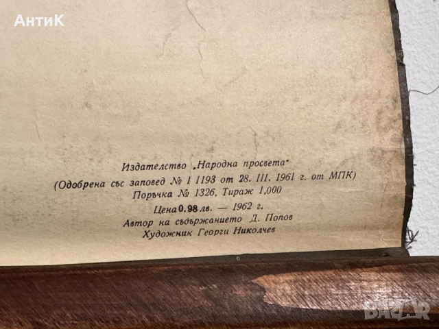 Соц Учебни Плакати Постери Ботаника, снимка 9 - Антикварни и старинни предмети - 52580865
