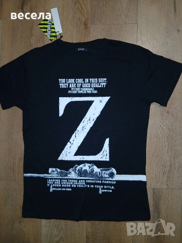 фанелки,блузи мъжки,големини. L, XL ,XXL, снимка 2 - Тениски - 53987813