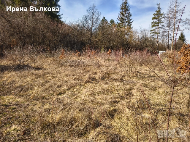 ПРОДАВА СЕ: Панорамен парцел в регулация – в.з. "Герова леска", с. Свидня, снимка 11 - Парцели - 53683788