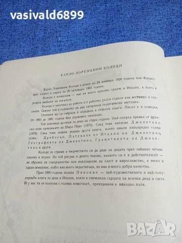 Карло Колоди - Приключенията на Пинокио , снимка 6 - Детски книжки - 53689022