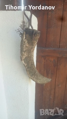 Катраник от биволски рог., снимка 5 - Антикварни и старинни предмети - 51320819