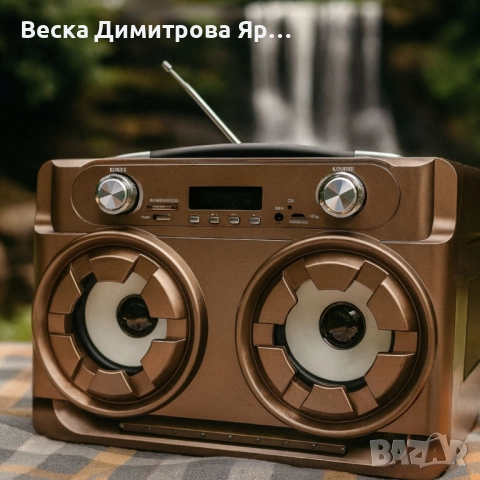 Мобилна тонколона MS-55 – мощен звук навсякъде, без компромиси, снимка 3 - Тонколони - 51462636