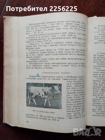 Наръчник на бригадира говедовъд, снимка 2 - Специализирана литература - 48352078