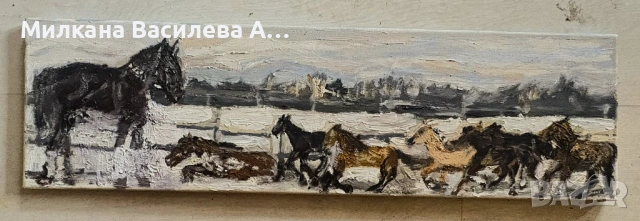 НАЛИЧНА – „Гаризуп, Незабравимият Ахал Теке“