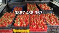 Продавам качествен разсад ягоди , снимка 7