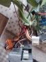 Работещ рядък колекционерски компютър Olivetti M6 540 Suprema | i486 D, снимка 7