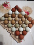 Продавам яйца от великденски носачки-новото поколение, снимка 1 - Кокошки и пуйки - 45061583