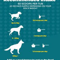 Добавка ProDog Repel Ефективен репелент срещу кърлежи, червеи и бълхи за кучета над 6 м - 60 порции , снимка 2 - За кучета - 45083441